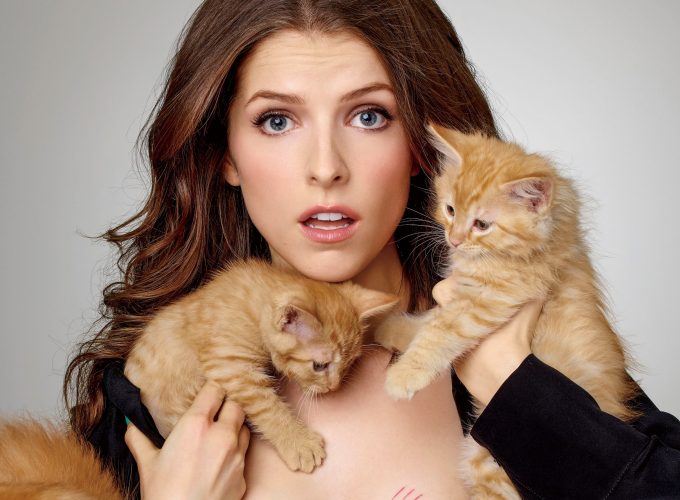 Wallpaper Anna Kendrick, kittens, cats, Top Fashion Models, model, actress, Animals 1611015289